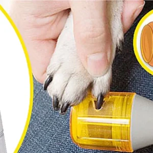 InnovaGoods Brousek na úpravu psích drápků