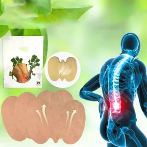 Náplasti na úlevu od bolesti pasu - 10 ks - Royal Prestige