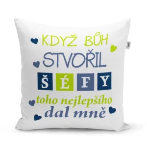 Sablio Polštář Když Bůh stvořil šéfy: 40x40 cm