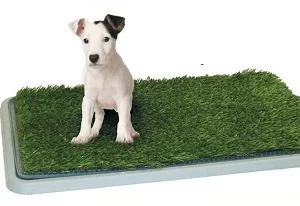 Zaparkorun Toaleta pro domácí mazlíčky - Potty Patch